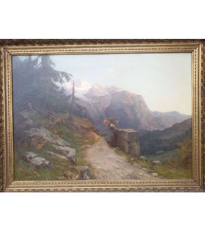 Ampia veduta di montagna