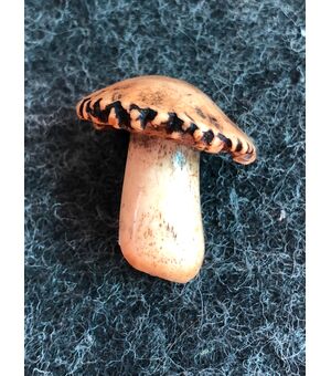 Netsuke’ in osso raffigurante un fungo.Giappone