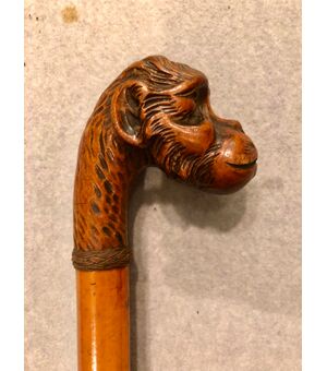 Bastone con pomolo in legno raffigurante testa di scimmia.Canna  in malacca.
