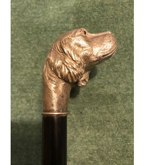 Bastone con pomolo in argento pieno  raffigurante testa di cane.Canna in ebano.Italia.
