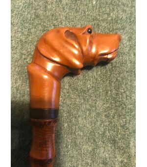 Stick with knob in Bakelite depicting a dog&#39;s head. Bamboo cane.     