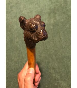 Bastone con pomolo in legno raffigurante una testa di cane.Canna in malacca.