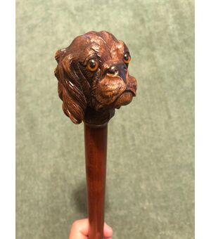 Bastone con pomolo in legno raffigurante una testa di cane.