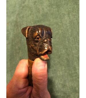 Bastone porta-guanti con pomolo in legno raffigurante una testa di cane.Canna in legno di rosa.