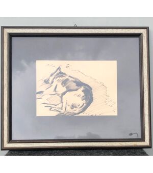 Disegno a carboncino raffigurante cane pastore tedesco dormiente.Gino Marzocchi.Bologna(1895-1981).