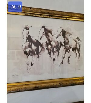 ACQUAFORTE  "CAVALLI " ALIGI SASSU