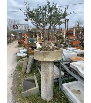 Colonna in pietra con vaso e bonsai