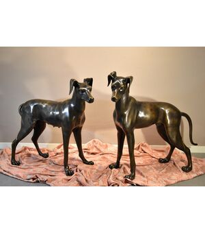 Coppia di levrieri in bronzo, Art Déco Francia XX secolo