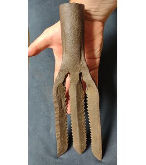 Föene arpione utilizzato in Francia per la pesca di anguille