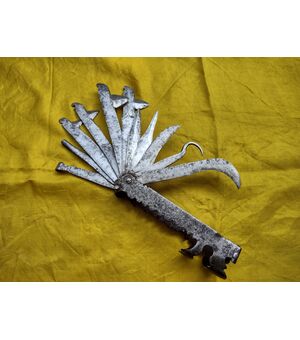 Splendido attrezzo multi lame per chirurgia veterinaria