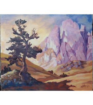 Grande e piccola fermeda , gruppo delle Odle  dolomiti