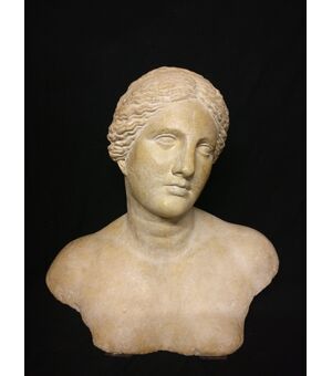 Busto raffigurante Venere - H 52 cm - Gesso - xx secolo - Venezia