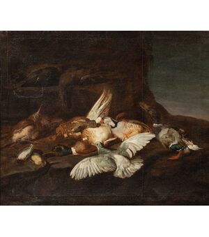 Natura morta con uccelli, Attr. Jacobus o Iacomo Victor (1640 ca. - 1705)