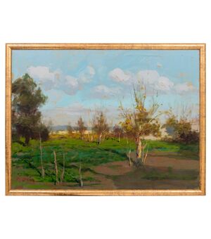 Paesaggio di campagna  - O/6456