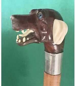 Bastone da passeggio con pomolo in legno  raffigurante testa di cane,ghiera in argento,Canna in malacca. 