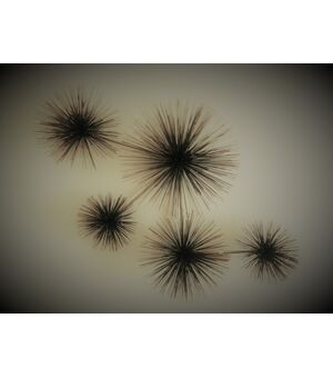 urchins sculpture