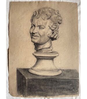 Disegno a carboncino su cartone raffigurante busto virile marmoreo.Arturo Pietra 1901.Bologna