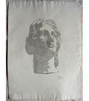 Pencil drawing on paper depicting a marble head.Arturo Pietra.Bologna.     