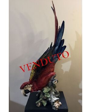 Large porcelain parrot, Tay, Giuseppe Tagliariol     