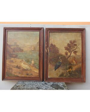 COPY OF PAINTINGS ON OIL ON CANVAS DEPICTING BIRDS FROM THE END OF 800     