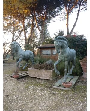 Magistrale coppia di Cavalli in bronzo - Altezza reale, scala 1:1