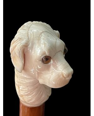 Bastone con pomolo raffigurante testa di cane in avorio.