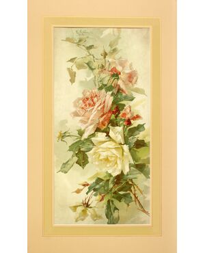Catharina KLEIN tralci di Rose Multicolori