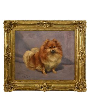 DIPINTI ANTICHI, RITRATTI DI CANI, CANE DI RAZZA POMERIANA, EPOCA NOVECENTO. (QA587)