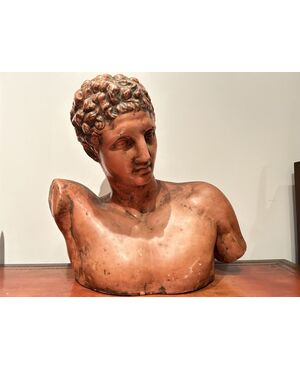 Grande Busto di "APOLLO" in terracotta