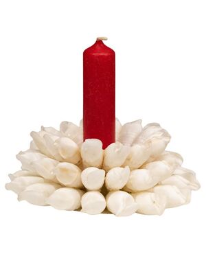 Porta-candele con conchiglie - SN