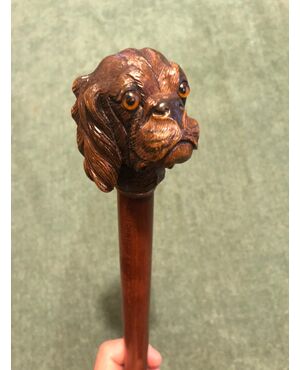 Stick with wooden knob depicting a dog&#39;s head.     