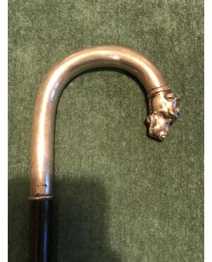 Stick with silver handle with dog&#39;s head.     