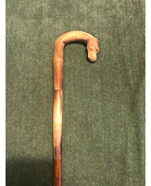 Stick with blond horn handle depicting a dog&#39;s head. Walnut barrel.     