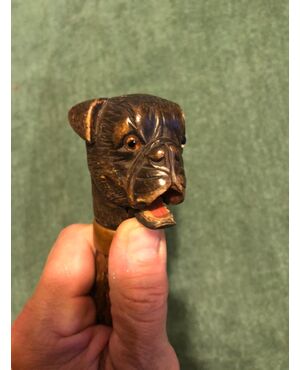 Glove-stick with wooden knob depicting a dog&#39;s head. Rosewood barrel.     