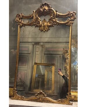 SPECC560 - Gilded and sculpted mirror with shells, 19th century, dimensions cm W 85 x H 138