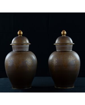 Pair of Furstenberg vases     