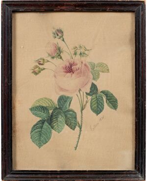 Disegnatore europeo (datato 1828) - La rosa.
