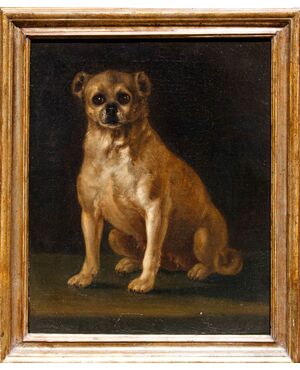 Scuola lombarda, sec. XVIII, Ritratto di cagnolino