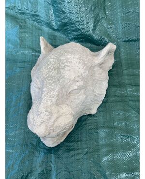 Calco Gesso Leone