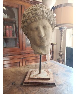 Testa di Antinoo Capitolino