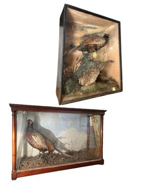 Coppia di teche decorative in vetro