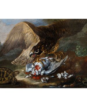 Baldassarre De Caro (Napoli, 1689 – 1750)  Rapace cattura un piccione, tartaruga, rana e serpente