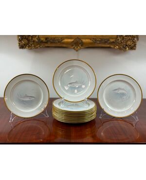 Set 12 piatti pesce