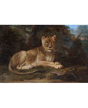 Scuola francese, XVIII secolo, Giovane leone