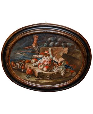 Emilian school, 18th century, Still life with hoopoe, frog and snake