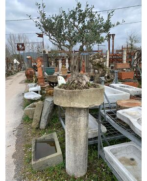 Colonna in pietra con vaso e bonsai