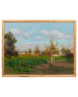 Countryside landscape - O/6456