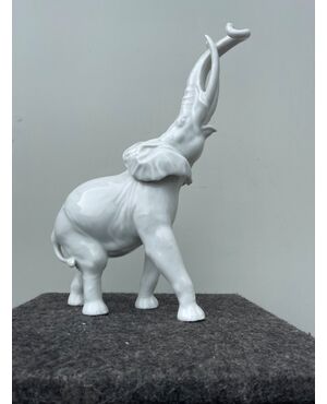 Figura di elefante in porcellana bianca.periodo liberty.