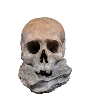 Terracotta sculpture - Memento mori. Italy, 18th-19th century.