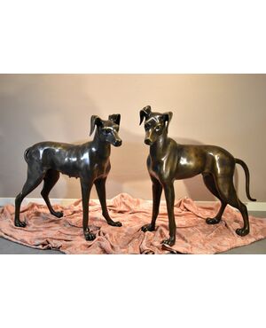 Coppia di levrieri in bronzo, Art Déco Francia XX secolo